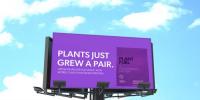 PlantFuel与Muscle Foods USA合作进行全国专业零售分销