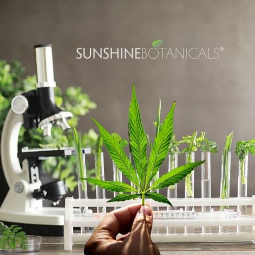 推出用于肿瘤美学的强大 多任务皮肤黄油