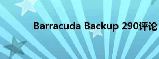 Barracuda Backup 290评论