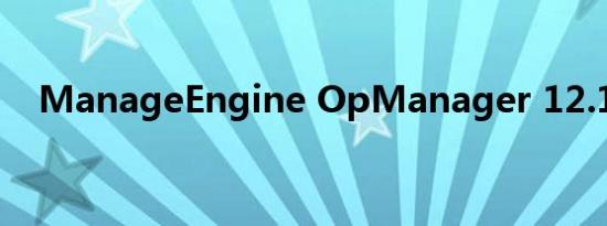 ManageEngine OpManager 12.1审核