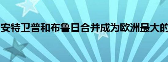 安特卫普和布鲁日合并成为欧洲最大的出口港