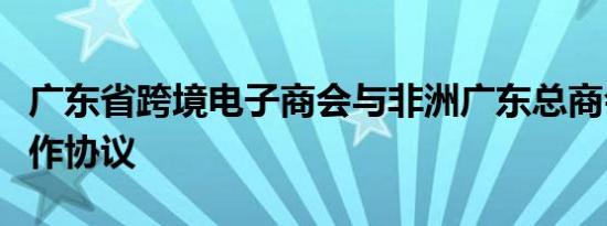 广东省跨境电子商会与非洲广东总商会签署合作协议