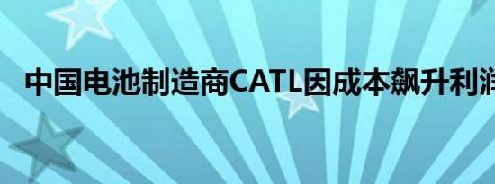 中国电池制造商CATL因成本飙升利润下降