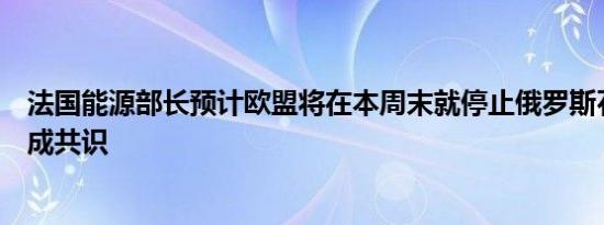 法国能源部长预计欧盟将在本周末就停止俄罗斯石油进口达成共识