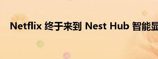 Netflix 终于来到 Nest Hub 智能显示器