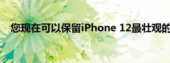 您现在可以保留iPhone 12最壮观的版本