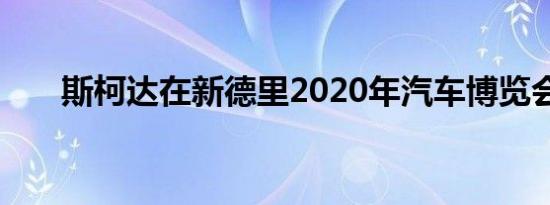 斯柯达在新德里2020年汽车博览会上