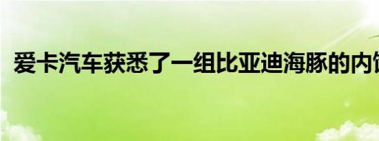 爱卡汽车获悉了一组比亚迪海豚的内饰官图