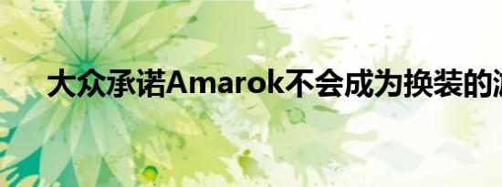 大众承诺Amarok不会成为换装的游侠
