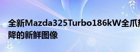 全新Mazda325Turbo186kW全爪热舱口下降的新鲜图像