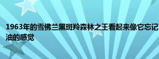 1963年的雪佛兰黑斑羚森林之王看起来像它忘记了柏油碎石油的感觉