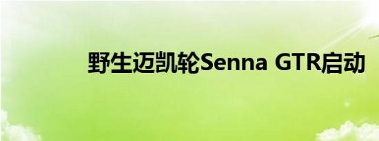 野生迈凯轮Senna GTR启动