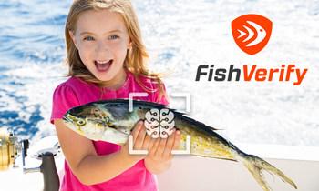 移动钓鱼应用程序FishVerify订阅人数超过150000