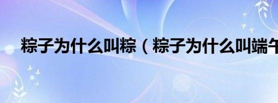 粽子为什么叫粽（粽子为什么叫端午棕）