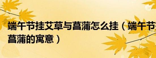 端午节挂艾草与菖蒲怎么挂（端午节挂艾草与菖蒲的寓意）