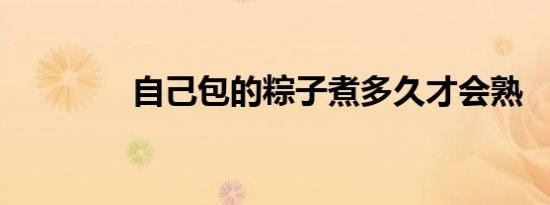 自己包的粽子煮多久才会熟