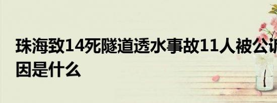 珠海致14死隧道透水事故11人被公诉 事故原因是什么