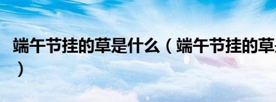 端午节挂的草是什么（端午节挂的草是什么草）