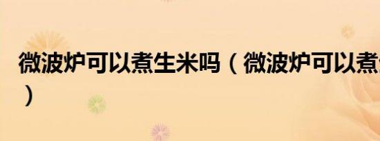 微波炉可以煮生米吗（微波炉可以煮生粽子吗）