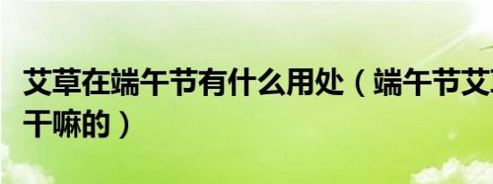 艾草在端午节有什么用处（端午节艾草是用来干嘛的）