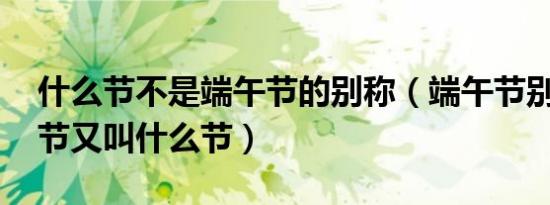什么节不是端午节的别称（端午节别称,端午节又叫什么节）