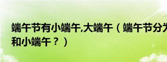 端午节有小端午,大端午（端午节分为大端午和小端午？）