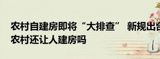 农村自建房即将“大排查” 新规出台！未来农村还让人建房吗