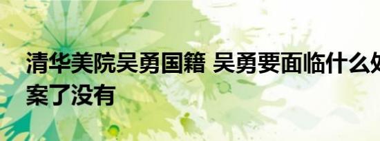 清华美院吴勇国籍 吴勇要面临什么处罚被立案了没有
