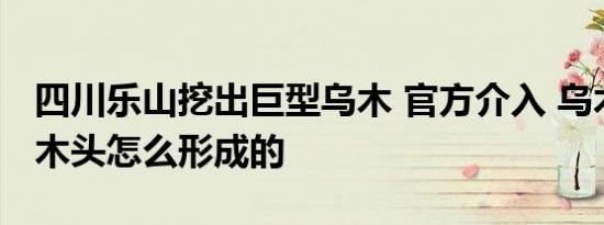 四川乐山挖出巨型乌木 官方介入 乌木是什么木头怎么形成的