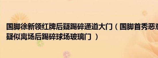 国脚徐新领红牌后疑踢碎通道大门（国脚首秀恶意蹬踏染红 疑似离场后踢碎球场玻璃门 ）