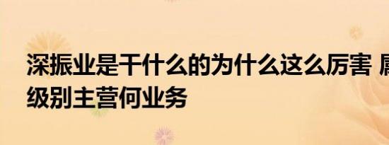 深振业是干什么的为什么这么厉害 属于什么级别主营何业务