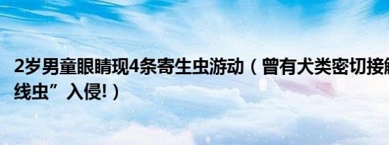 2岁男童眼睛现4条寄生虫游动（曾有犬类密切接触史 警惕“线虫”入侵!）