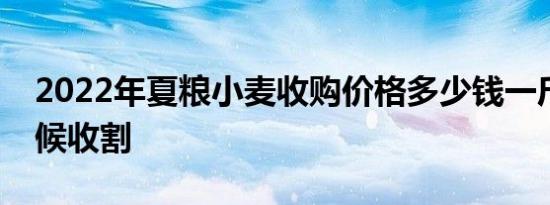 2022年夏粮小麦收购价格多少钱一斤什么时候收割