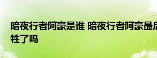 暗夜行者阿豪是谁 暗夜行者阿豪最后结局牺牲了吗