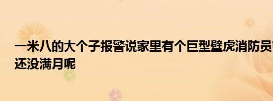 俄罗斯卢布如何做到“惊天逆转”还会再涨吗