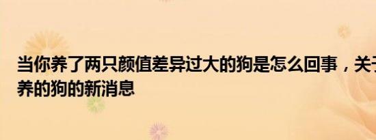 当你养了两只颜值差异过大的狗是怎么回事，关于颜值高好养的狗的新消息