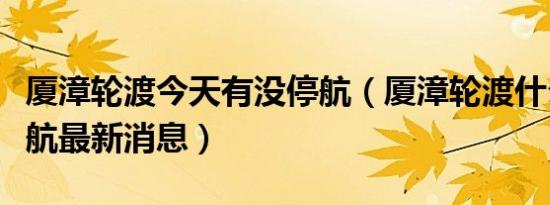 厦漳轮渡今天有没停航（厦漳轮渡什么时候复航最新消息）