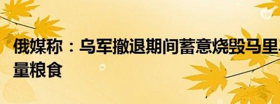 俄媒称：乌军撤退期间蓄意烧毁马里乌波尔大量粮食