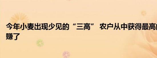 今年小麦出现少见的“三高” 农户从中获得最高的经济利益赚了