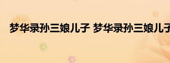 梦华录孙三娘儿子 梦华录孙三娘儿子结局