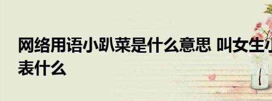 网络用语小趴菜是什么意思 叫女生小趴菜代表什么