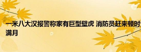 一米八大汉报警称家有巨型壁虎 消防员赶来顿时无语：还没满月