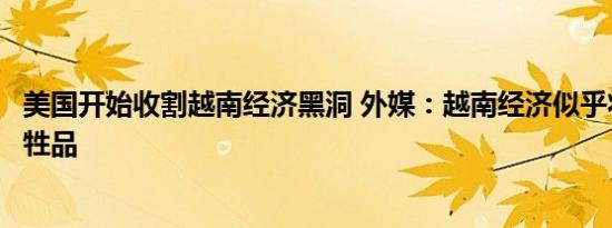美国开始收割越南经济黑洞 外媒：越南经济似乎将会成为牺牲品