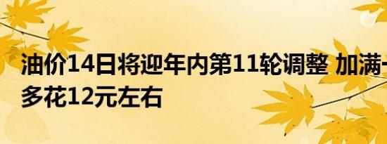 油价14日将迎年内第11轮调整 加满一箱油将多花12元左右