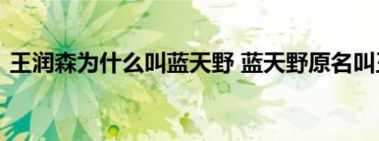 王润森为什么叫蓝天野 蓝天野原名叫王润森