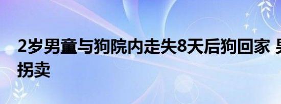 2岁男童与狗院内走失8天后狗回家 男童疑被拐卖