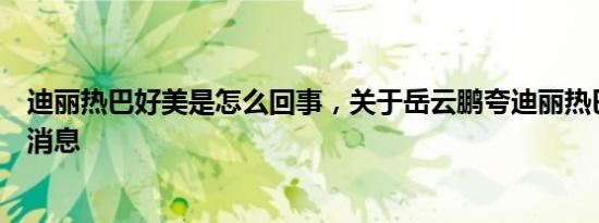 迪丽热巴好美是怎么回事，关于岳云鹏夸迪丽热巴好美的新消息