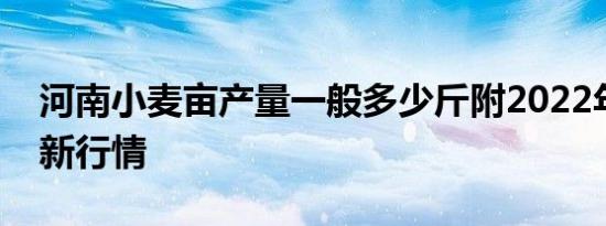河南小麦亩产量一般多少斤附2022年价格最新行情