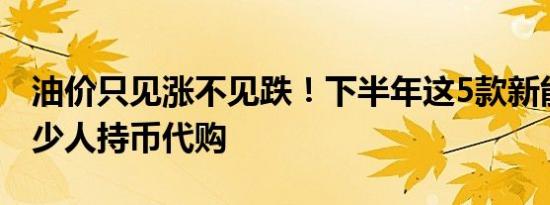 油价只见涨不见跌！下半年这5款新能源车不少人持币代购
