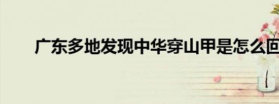 广东多地发现中华穿山甲是怎么回事